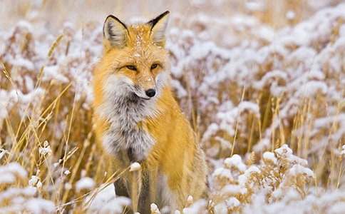 �����c��؂���ģ����x22ƪ��