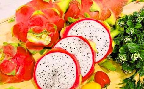 ̽�ػ�������������