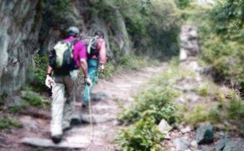 ��ɽ�����ģ����x115ƪ��