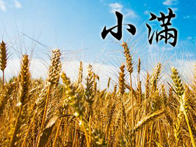 С�Mף���Z(y��)